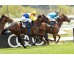  Carrera: P.Luis Manso Monta: A.Serrano Caballo: Araka la Kana
